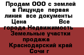 Продам ООО с землей в Пицунде, первая линия, все документы › Цена ­ 9 000 000 - Все города Недвижимость » Земельные участки продажа   . Краснодарский край,Сочи г.